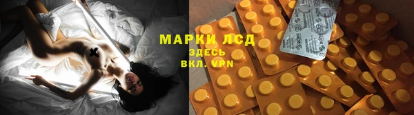 сатива Нягань