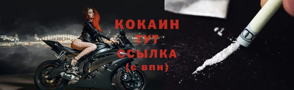 сатива Нягань