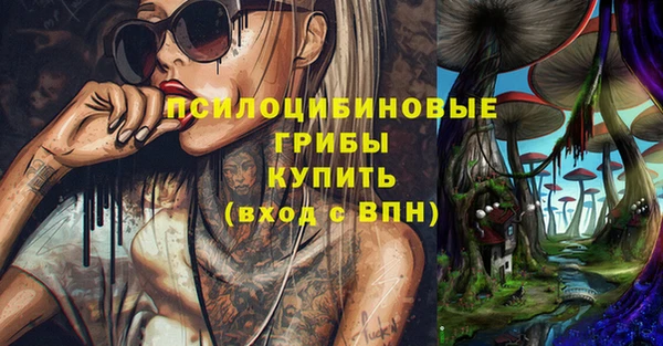 сатива Нягань