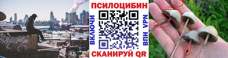 Купить где  Канск  Галлюциногенные грибы MAGIC MUSHROOMS 